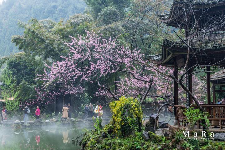 探索冷知识的平台-货拉拉在异地能接单吗?带你发现新奇世界