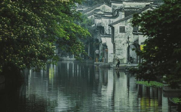 甘肃省森林公安机关打击破坏环境资源领域犯罪十大典型案例